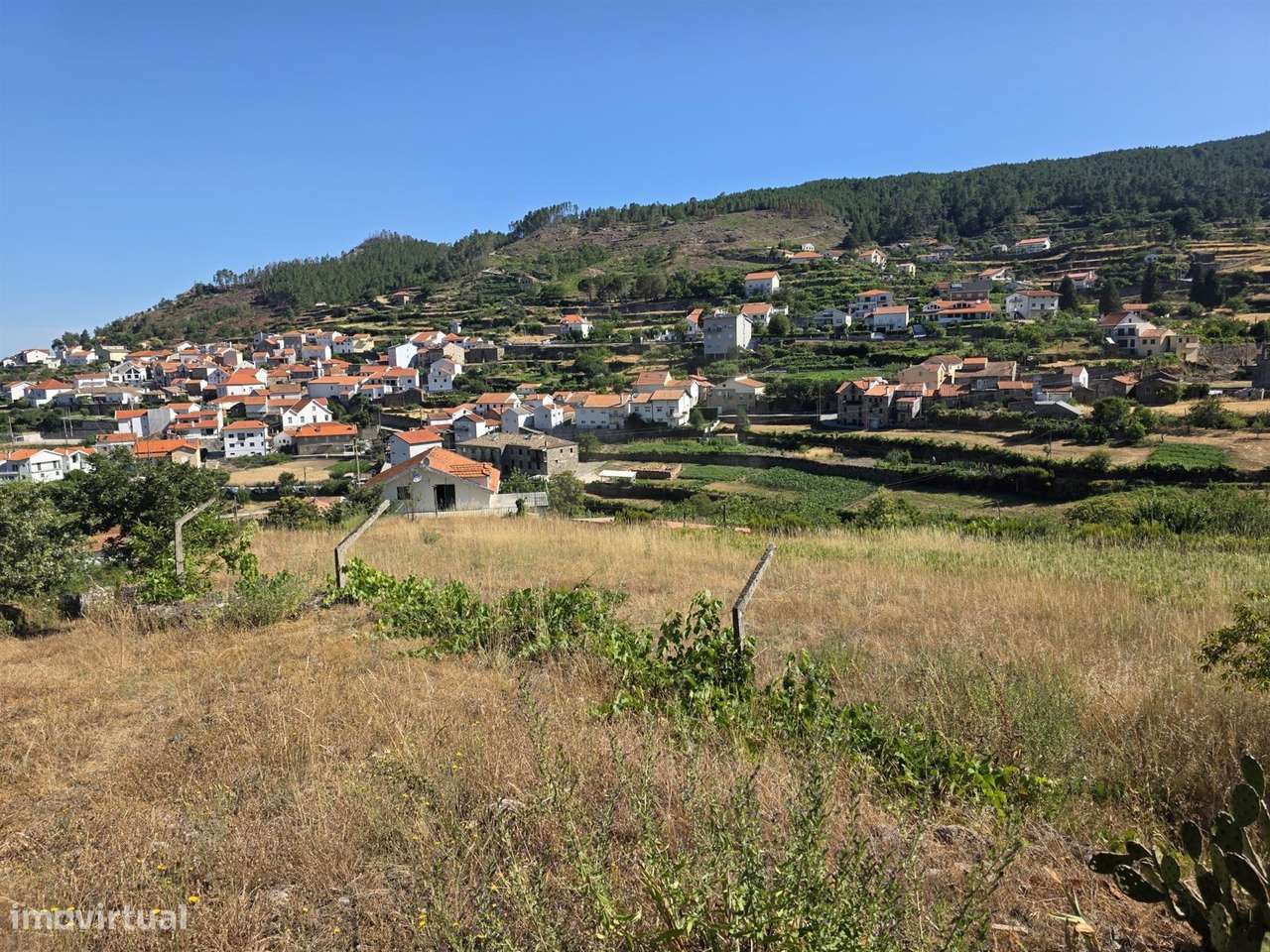 Quinta  Venda em Valezim,Seia-8