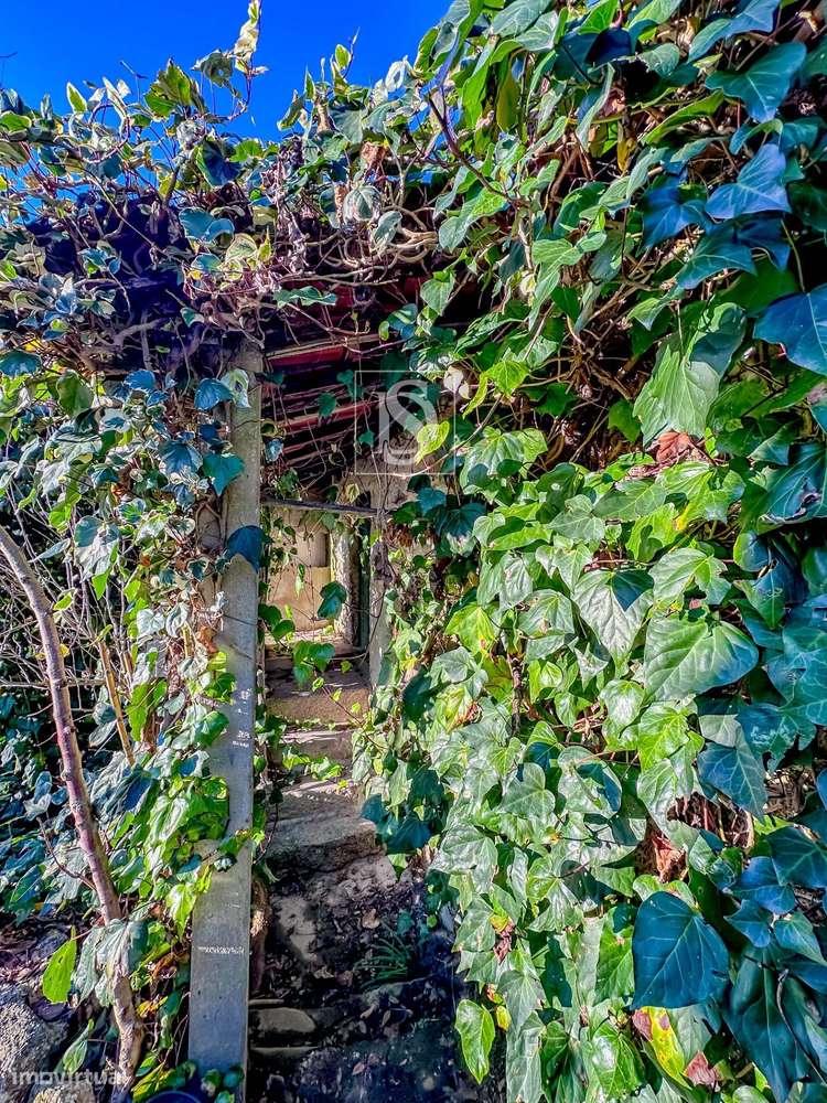 Moradia para Restauro com Terreno - Cepelos Amarante-23