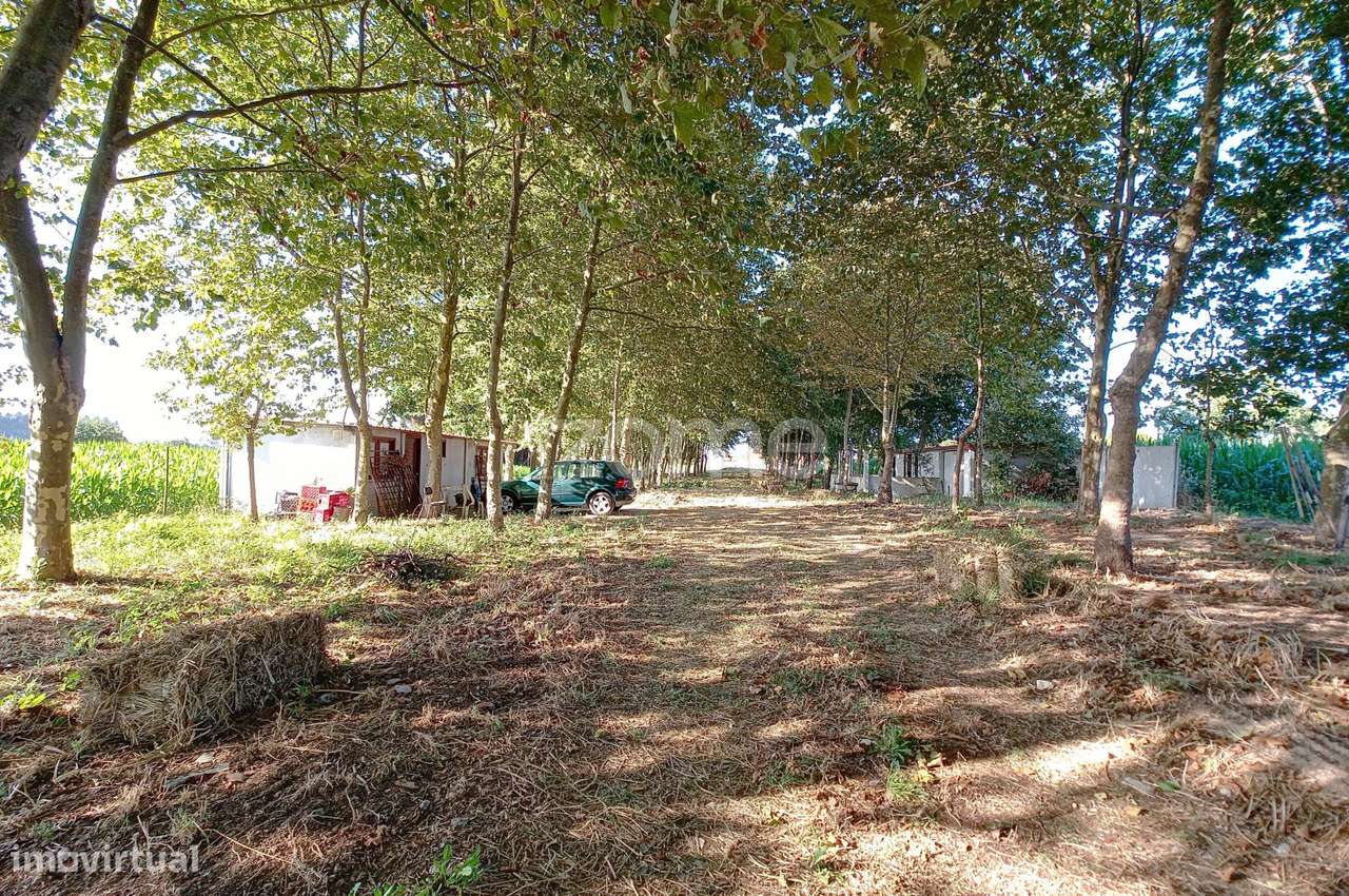 Quinta Em Aveiro
