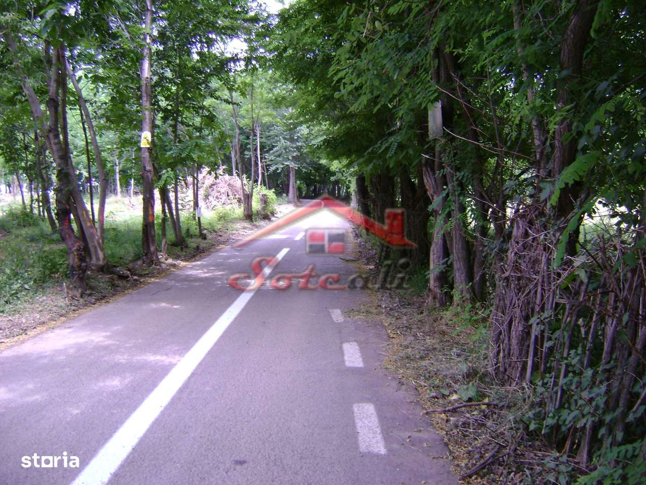 Teren de vanzare Cornu 3074 mp-10