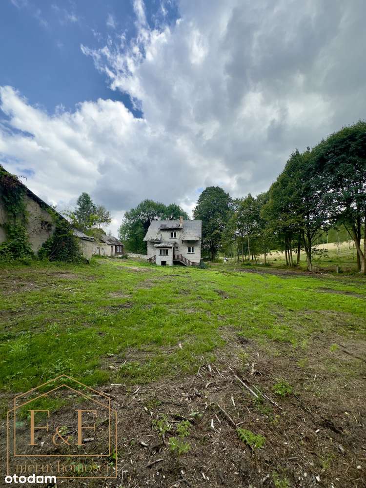 ** Działka pod zabudowę w samym sercu lasu **-3