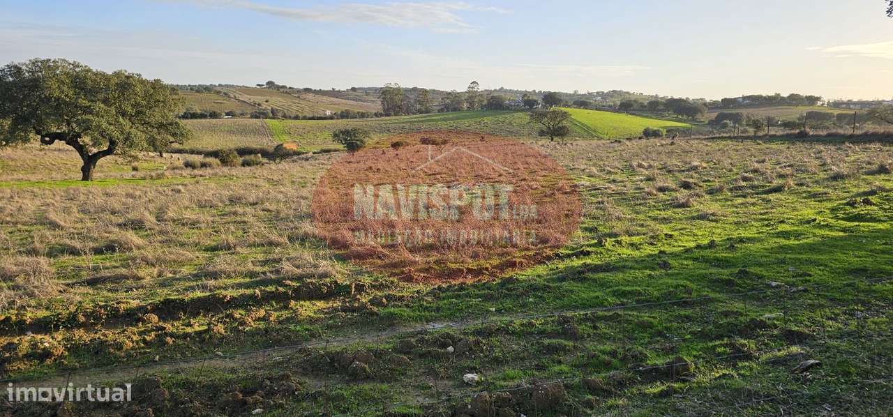 Herdade com 36 ha em Santo António do Baldio-7