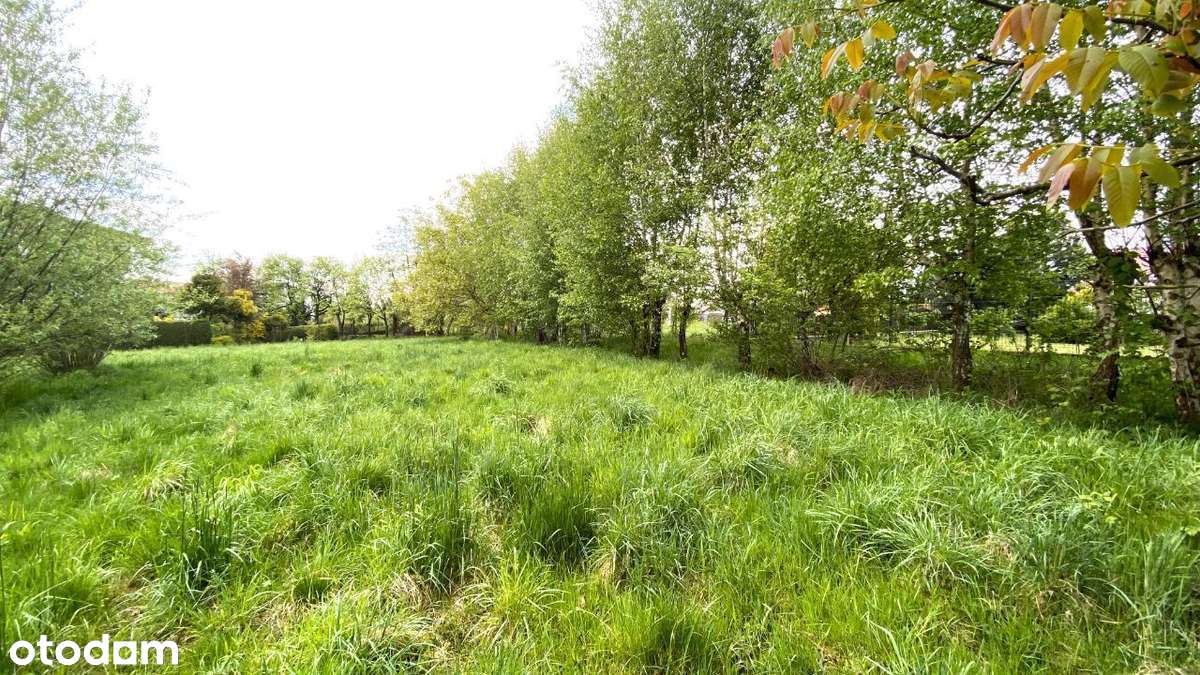 Działka budowlana zabudowa wielorodzinna - Pełny obrazek: 5/6