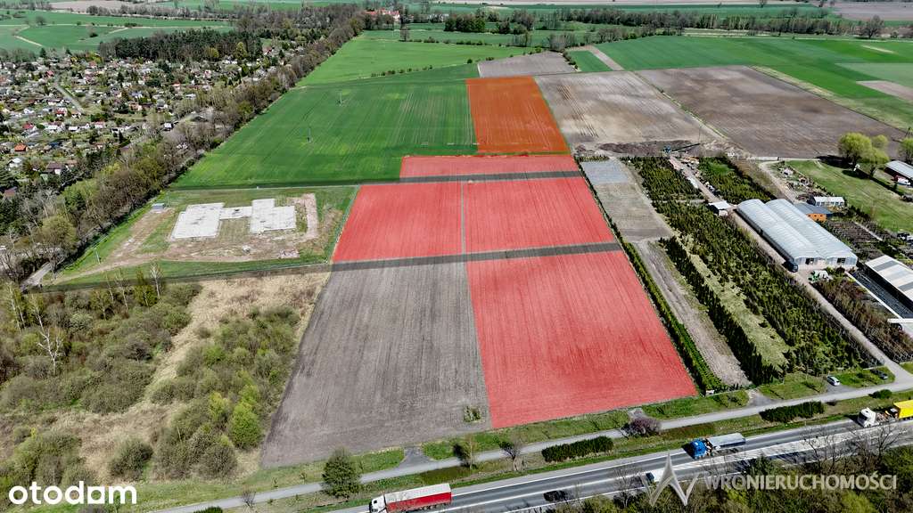 Działki inwestycyjne 3,0082 ha | Lędziny k. Opola - Pełny obrazek: 3/3