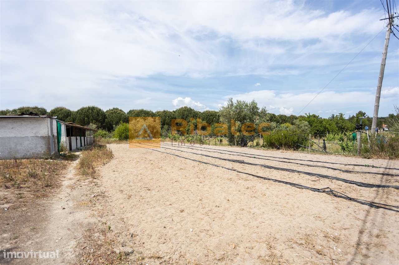 Moradia nas Fazendas das Figueiras, Branca-32