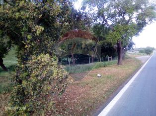 Terreno  para venda - Grande imagem: 3/6
