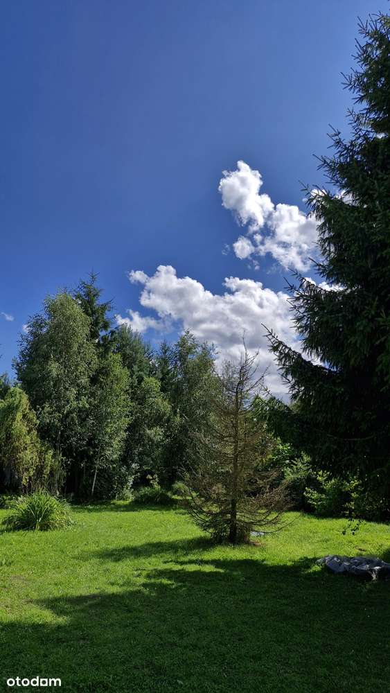 Super oferta. Dom w Królewcu gmina Smyków.-15