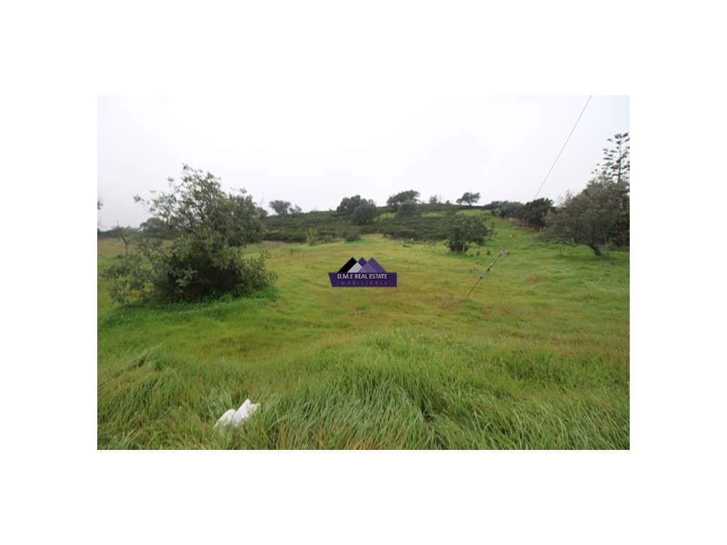 Terreno Urbano com 1.595 m² na Junqueira - Grande imagem: 5/8