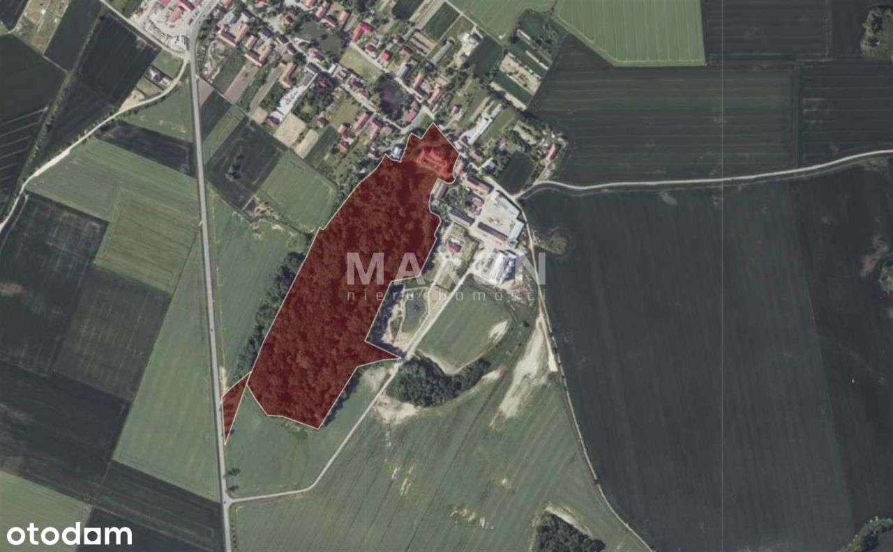 ✨ Dolnośląskie Małuszów Pałac ✨ - Pełny obrazek: 4/20