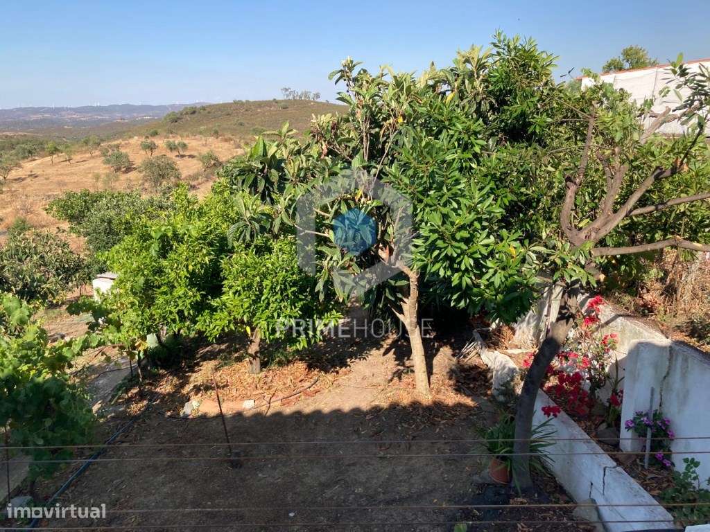 Moradia T2 térrea pronta a habitar, mobilada, localizada Monte de S... - Grande imagem: 2/54