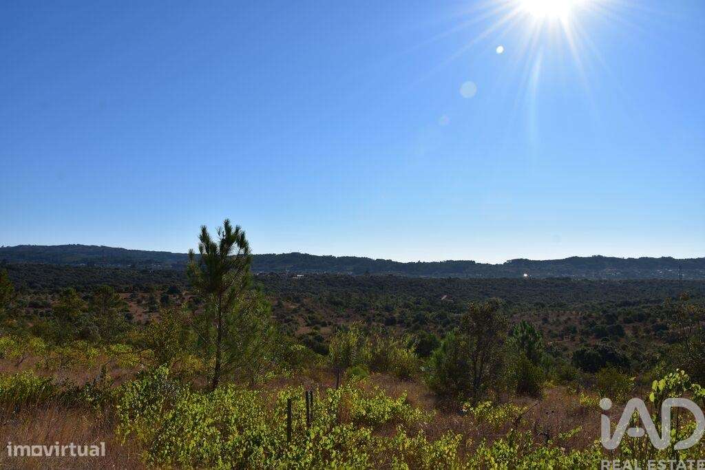 Terreno em Areias e Pias de 17000,00 m2 - Grande imagem: 5/26