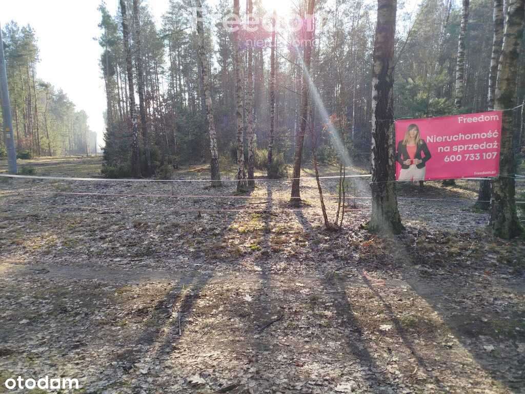 Działka 4000m2 z Warunkami zabudowy - Pełny obrazek: 2/8