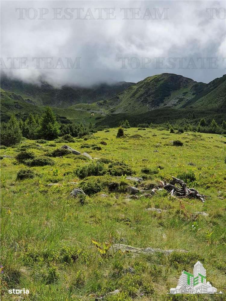 SUPER OPORTUNITATE, DE VANZARE O PROPRIETATE SPECIALA, MUNTELE VARFUL - Imagine principală: 4/20