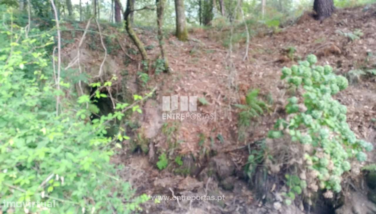 Venda de Quinta V2 para restauro, Caires, Amares - Grande imagem: 4/24