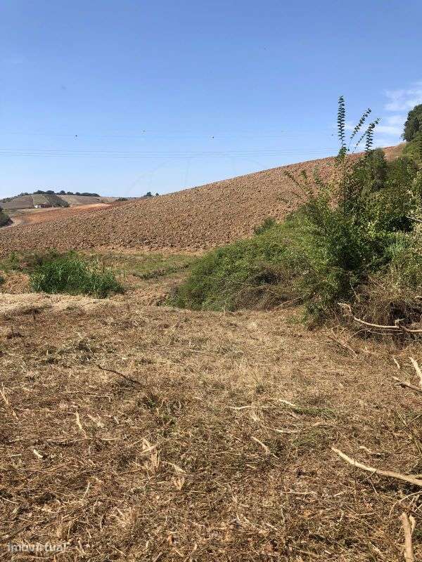 Terreno  para venda - Grande imagem: 4/13