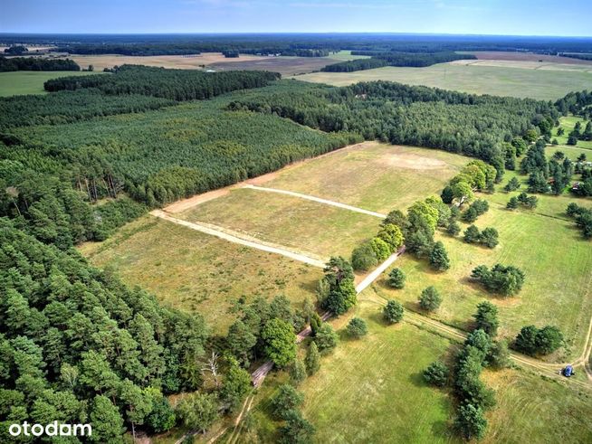 Dołgie, działka budowlana 830 m2, cicha okolica-9