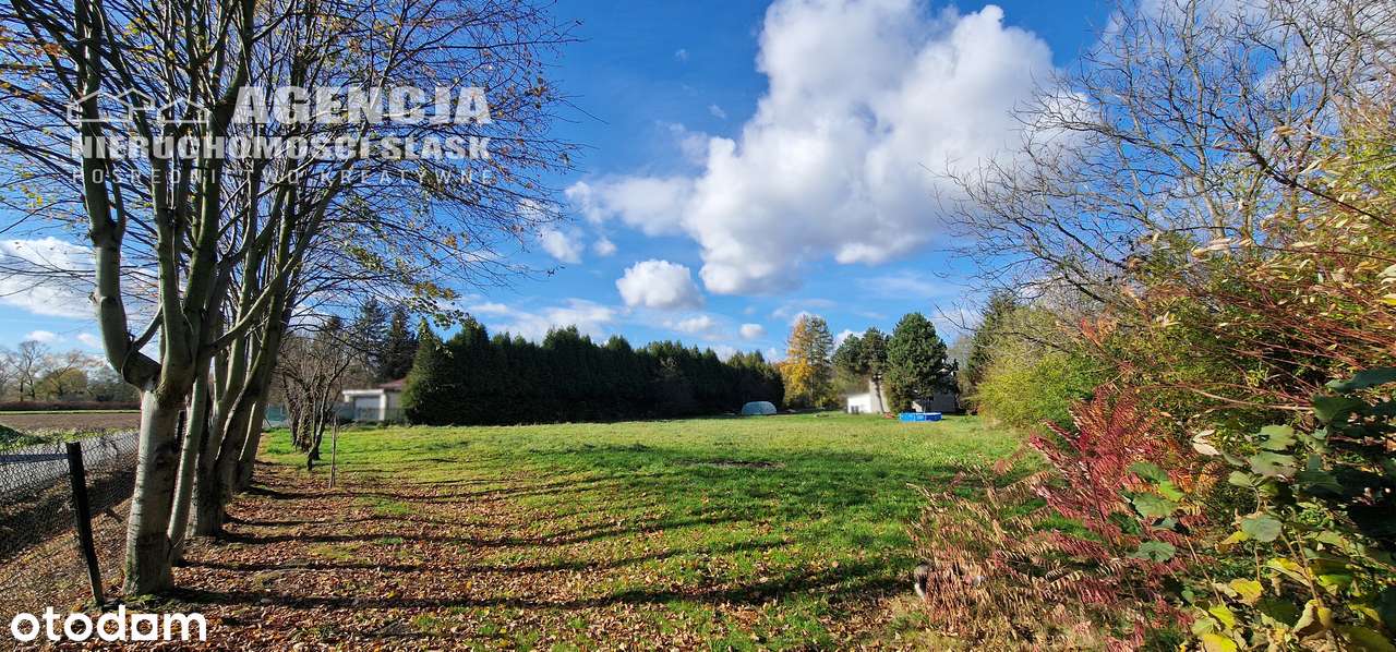 Działka, 810 m², Międzyrzecze Górne-3