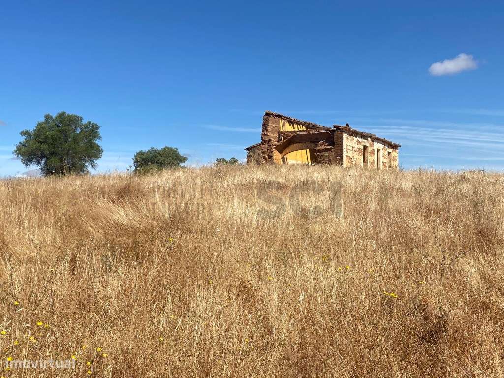 Pequena Quinta com Ruína para Recuperar em Vila Nova de São Bento-20