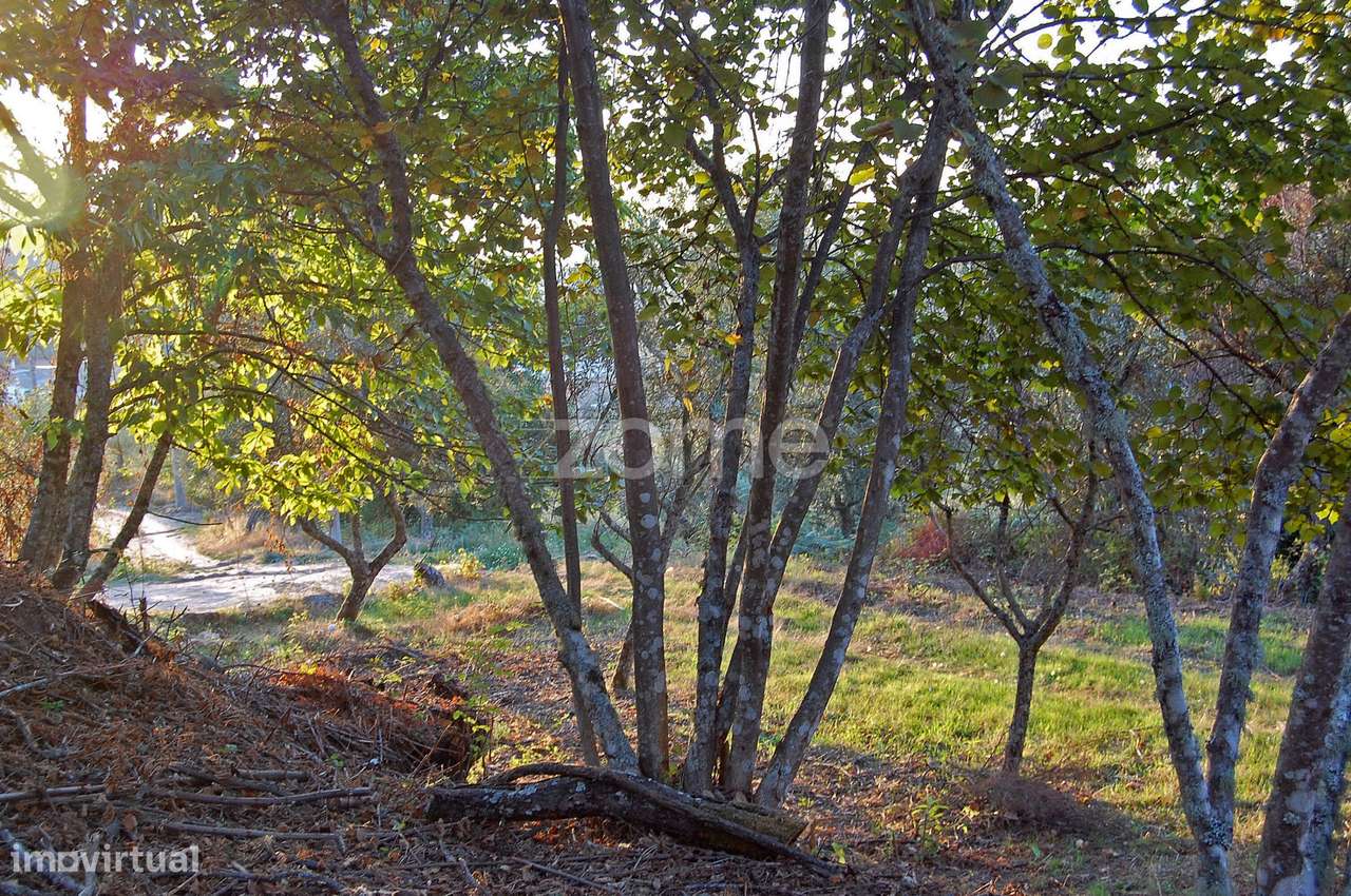 Terreno em Cabritos - Grande imagem: 5/22