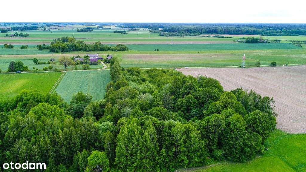 Malownicza działka przy Puszczy Knyszyńskiej - Pełny obrazek: 5/8