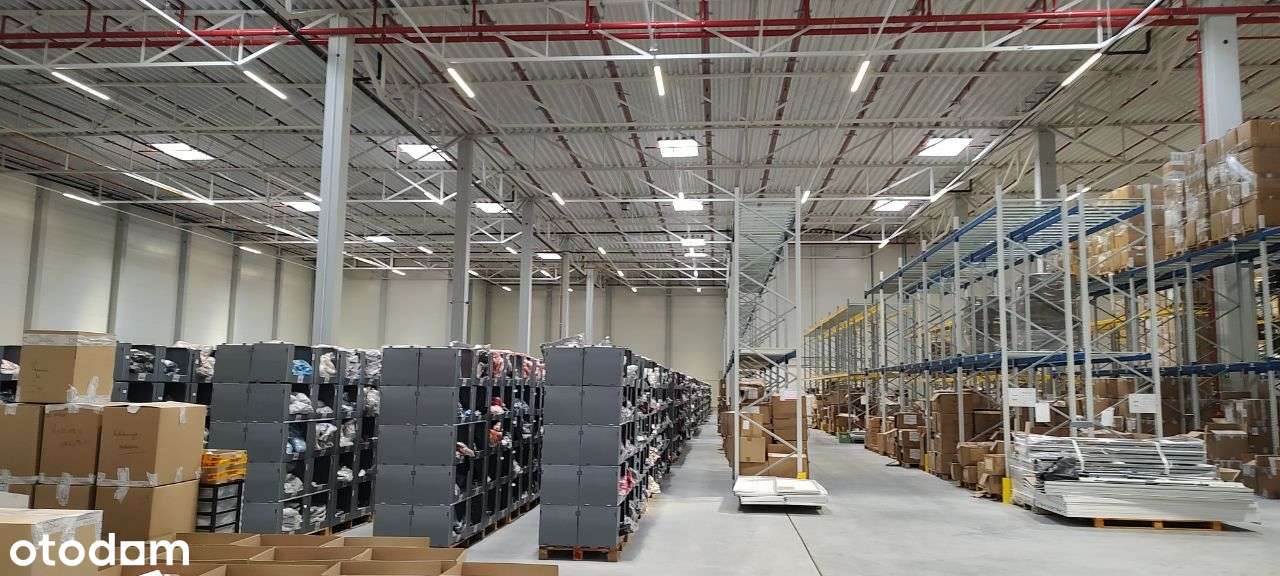 Bydgoszcz ul. Mokra Magazyn do wynajęcia 6050m2 - Pełny obrazek: 4/9