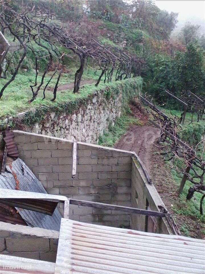 Lote / Baião, Baião (Santa Leocádia) e Mesquinhata - Grande imagem: 5/6