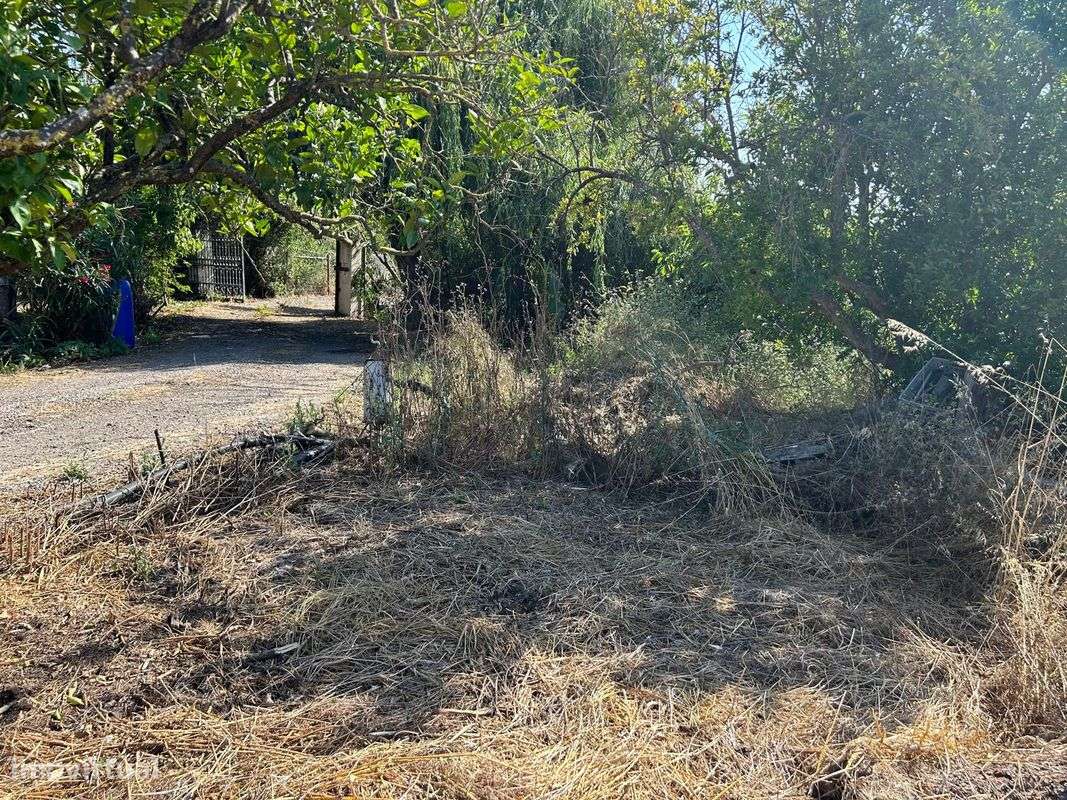 Terreno  para venda - Grande imagem: 5/9