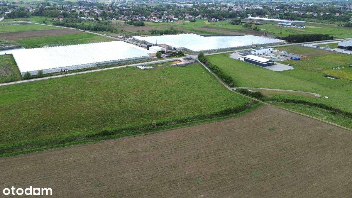 Działka pod halę, magazyn blisko S19 - Pełny obrazek: 5/5