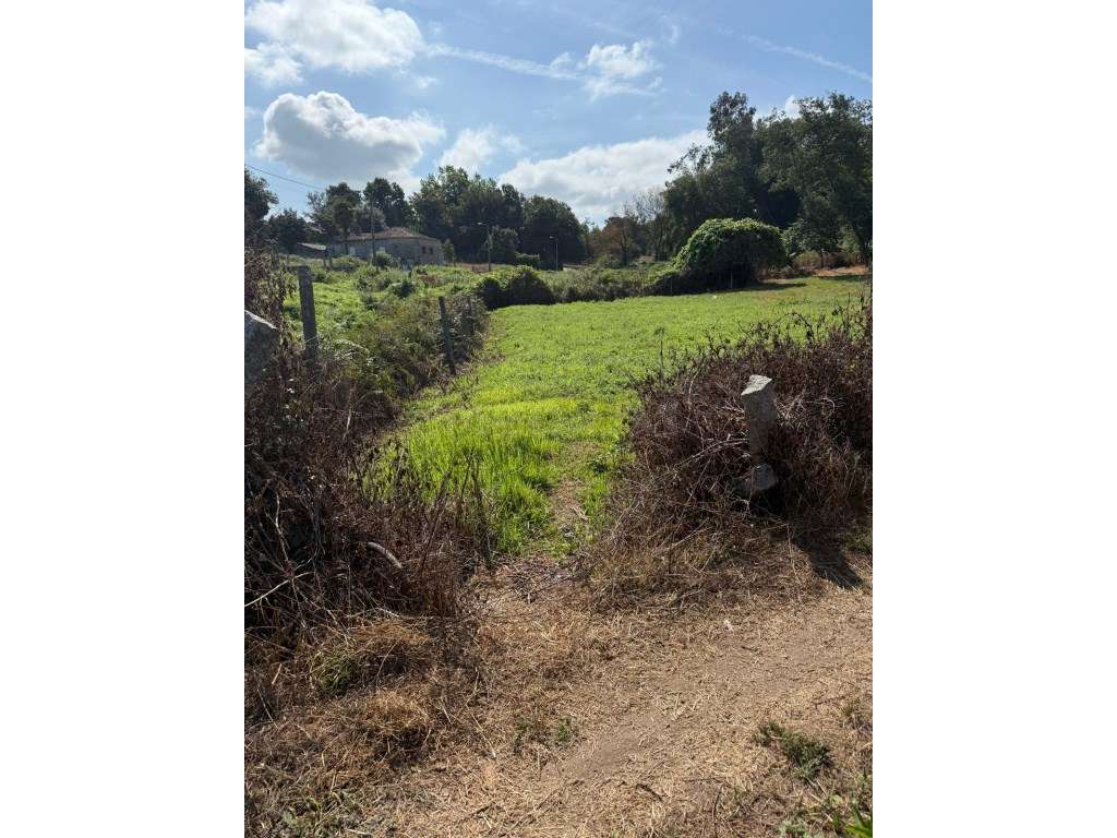 Terreno para construção em Lemenhe.-12
