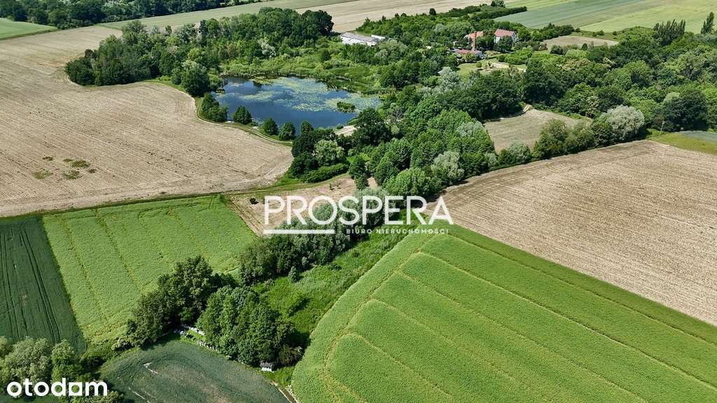 Działka rolna przy stawie w Wabienicach! - Pełny obrazek: 4/6