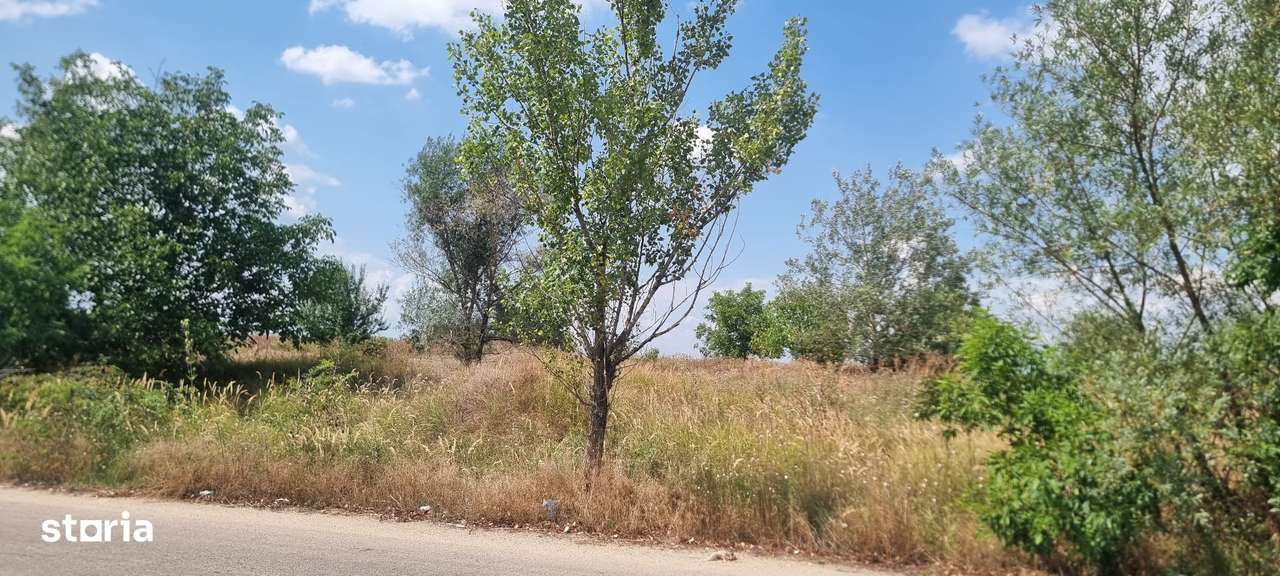 Vand teren intravilan, Pitesti, iesire spre Albota, in sup de 30000 mp - Imagine principală: 4/8