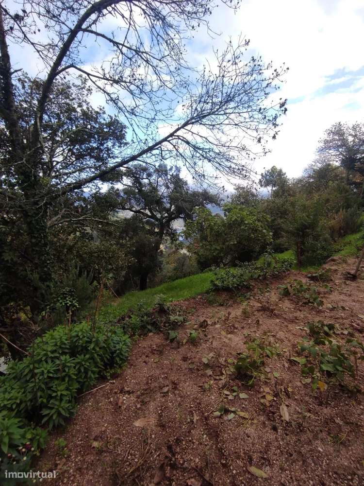 Terreno com Vista Deslumbrante em Gove - Grande imagem: 5/5