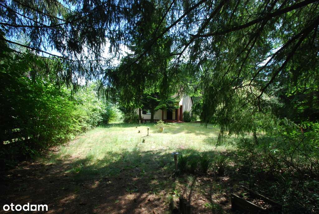 Urokliwy domek w środku lasu - Moczydło-13