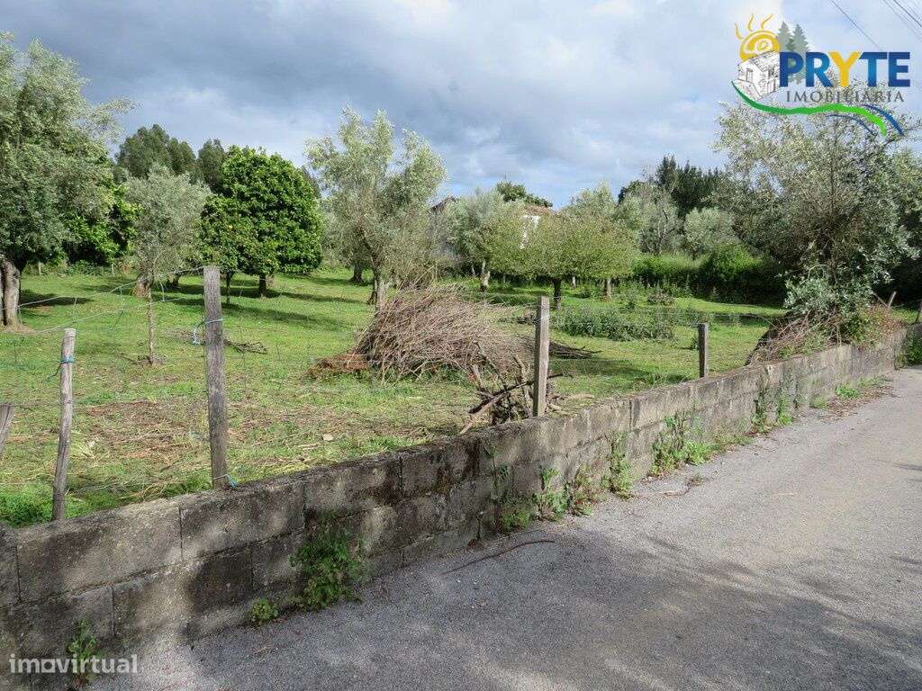 Terreno para construção de duas moradias a 5 minutos da Sertã - Grande imagem: 5/23