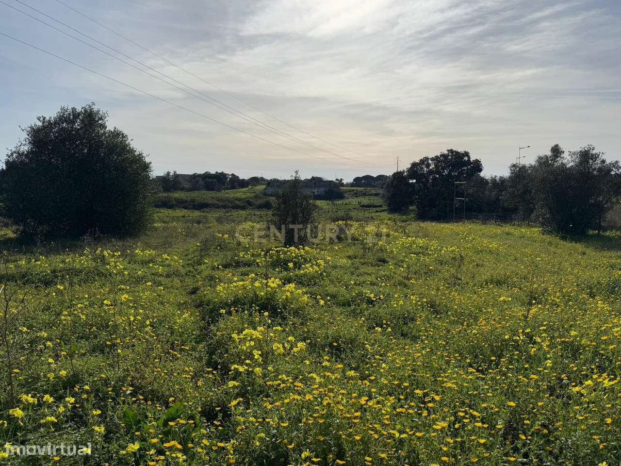 Quinta com 34.920 m2 junto à circular externa do Montijo - Grande imagem: 2/18