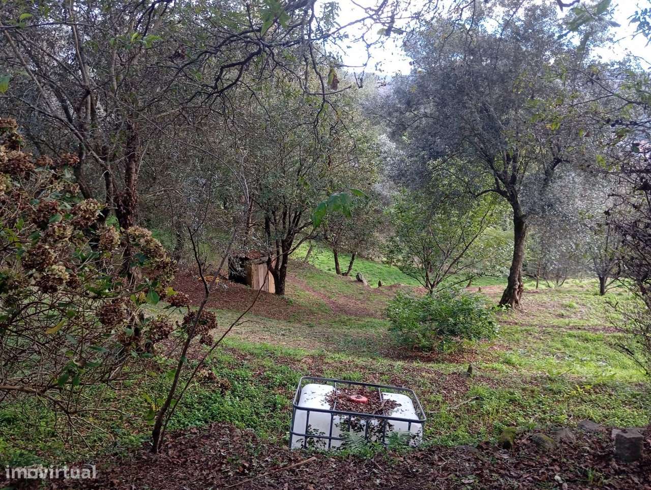 Terreno com viabilidade de construção em Palmaz - Grande imagem: 4/8