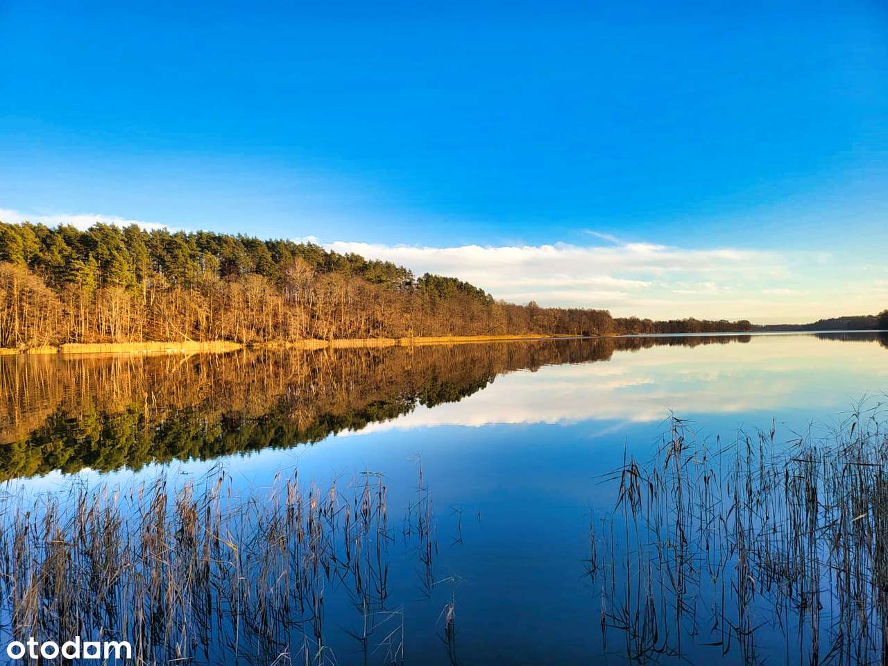Wybuduj dom z tarasem widokowym zaledwie 100 metrów od jeziora Dłużec! - Pełny obrazek: 4/19