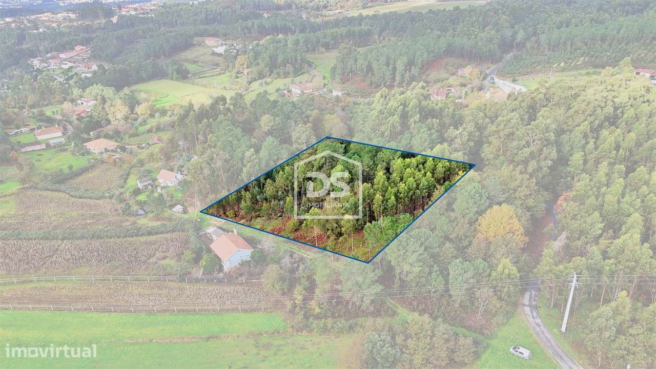 Terreno Rústico  Venda em Agilde,Celorico de Basto - Grande imagem: 2/18