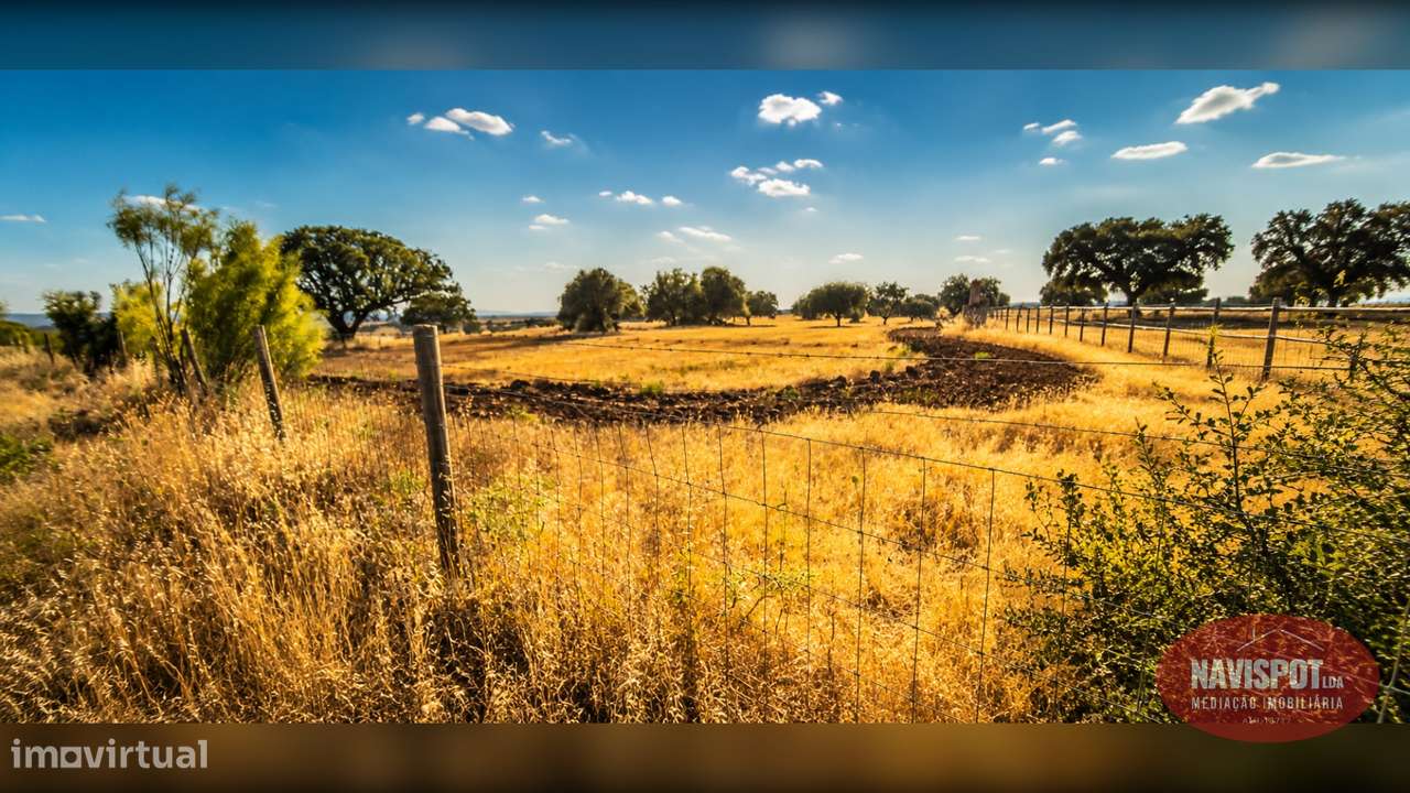 Herdade com 750 hectares no Alentejo-16