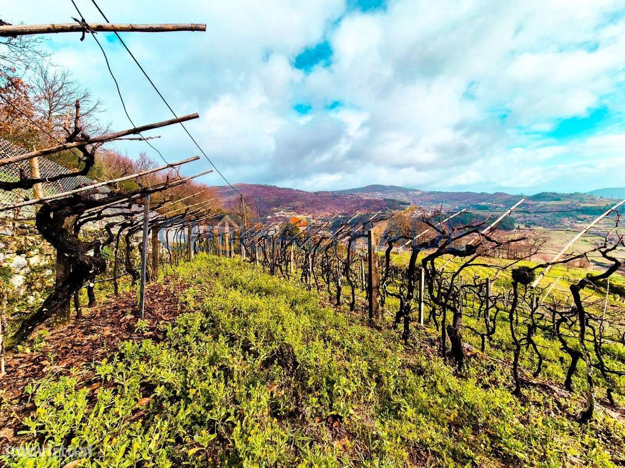 Quinta com 5250 m² & Moradia T1 em Pedra – Baião-45