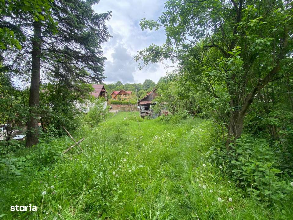 Casa batrineasca + Teren 1190 mp-4
