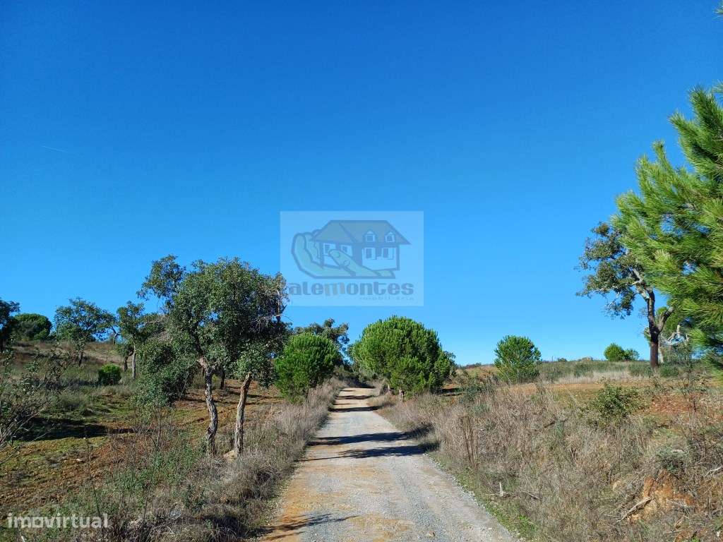 PROJECTO APROVADO para Empreendimento Turístico - propriedade com 4... - Grande imagem: 3/16