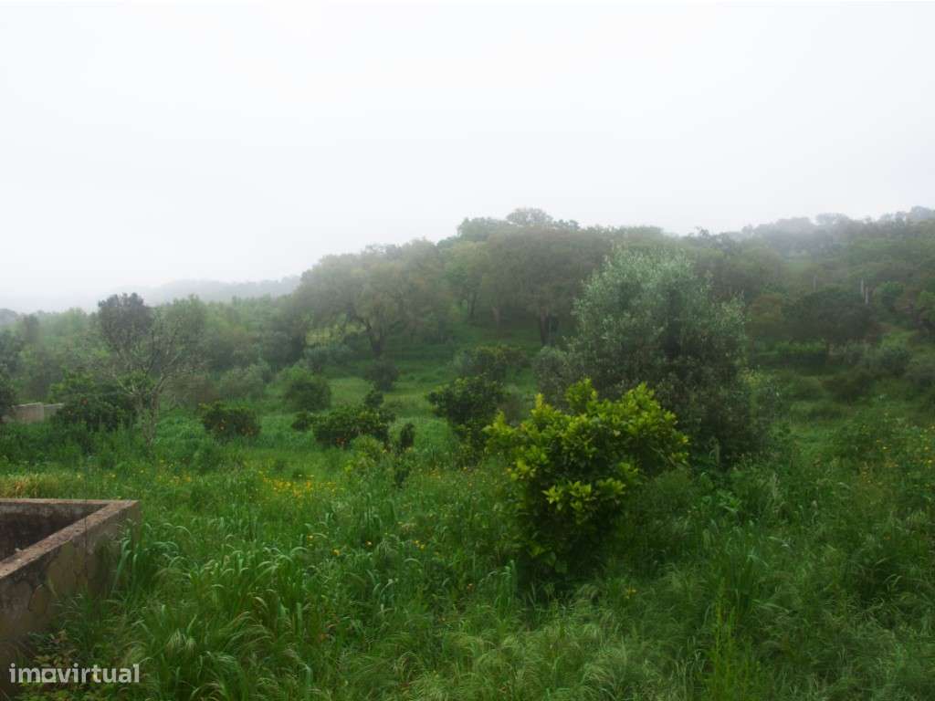 EXCLUSIVO! Quinta com Enorme Potencial no Coração do Alentejo Um Re...-52