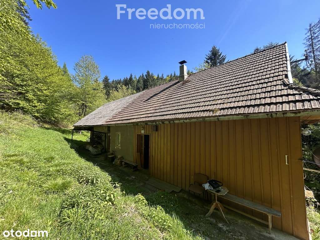 Spełnij marzenie kup stary dom pod lasem! - Pełny obrazek: 5/7
