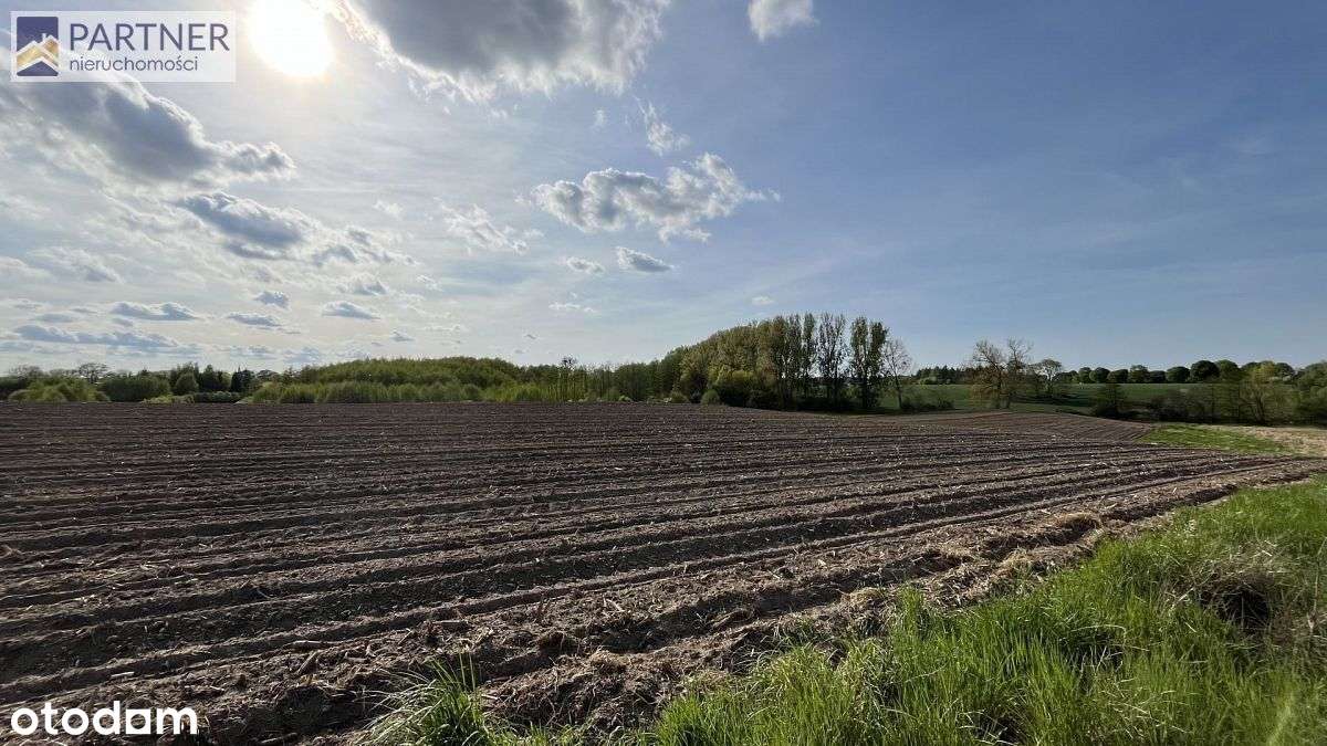 Działki w Tychowie 80 zł/m2 - Pełny obrazek: 4/10