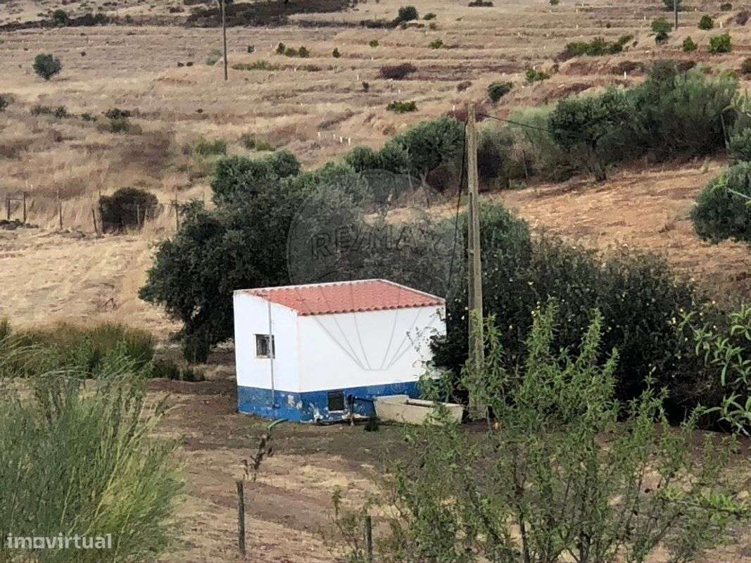 Quinta T6 para venda-7