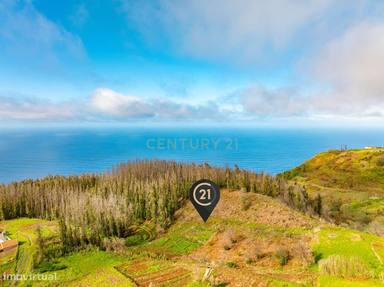 Terreno de 2.500 m² para Construção - Achadas da Cruz, Porto Moniz - Grande imagem: 5/13