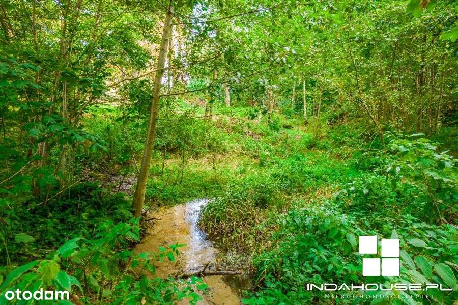 Działka budowlana z własnym lasem i strumieniem... - Pełny obrazek: 4/20