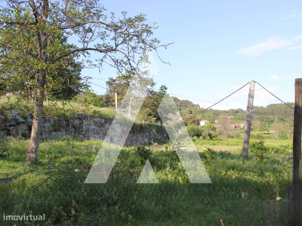 Quinta T6 histórica para recuperação, Guimarães.-32