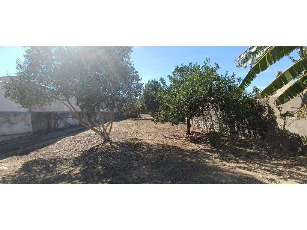Oportunidade - Moradia Bicesse - Lote de 1.262m2 - Elevado Potencia...-4